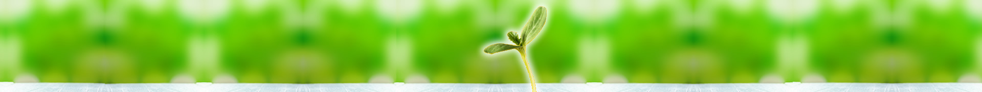 奨学寄附金のご案内